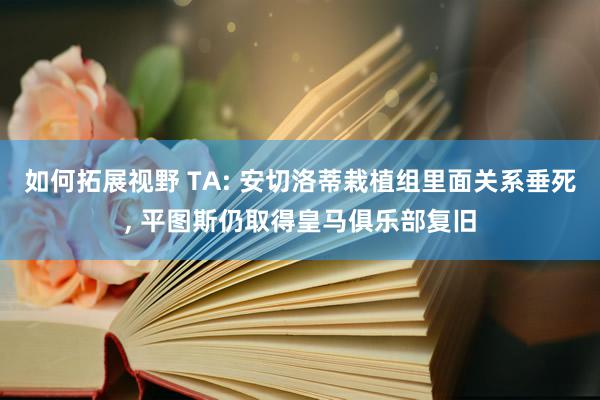 如何拓展视野 TA: 安切洛蒂栽植组里面关系垂死, 平图斯仍取得皇马俱乐部复旧