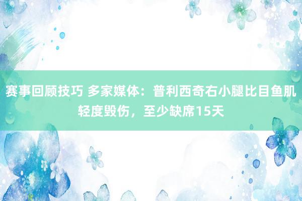 赛事回顾技巧 多家媒体：普利西奇右小腿比目鱼肌轻度毁伤，至少缺席15天