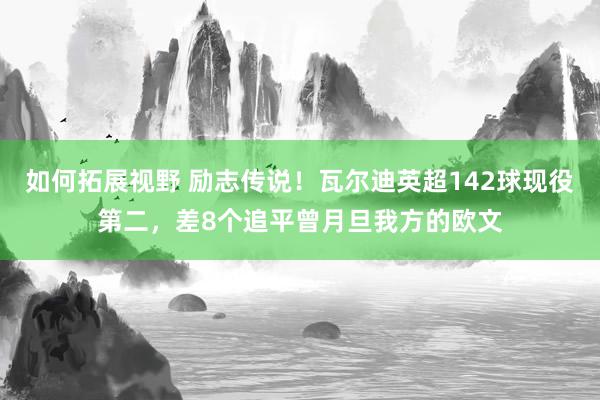 如何拓展视野 励志传说！瓦尔迪英超142球现役第二，差8个追平曾月旦我方的欧文