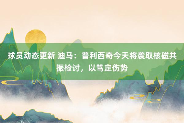 球员动态更新 迪马：普利西奇今天将袭取核磁共振检讨，以笃定伤势