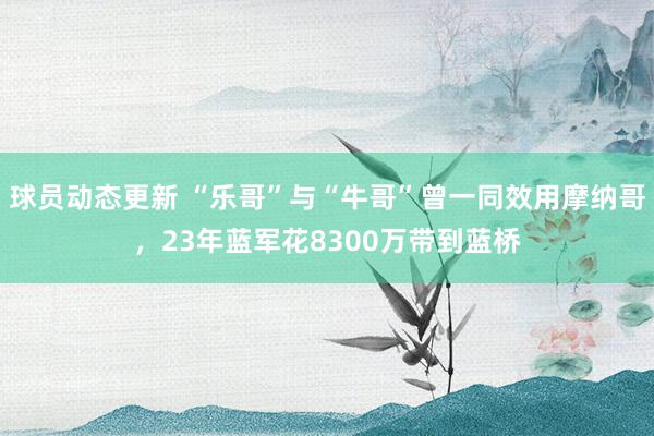 球员动态更新 “乐哥”与“牛哥”曾一同效用摩纳哥，23年蓝军花8300万带到蓝桥