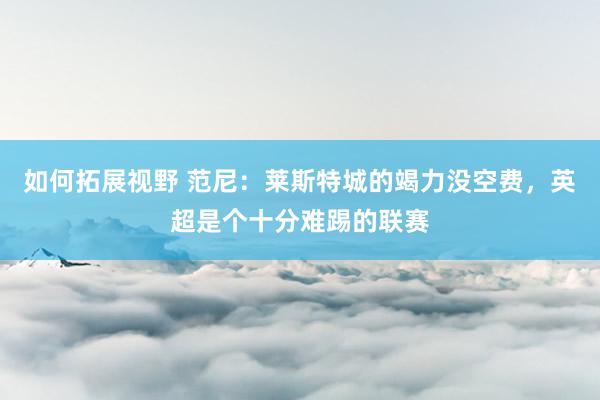 如何拓展视野 范尼：莱斯特城的竭力没空费，英超是个十分难踢的联赛