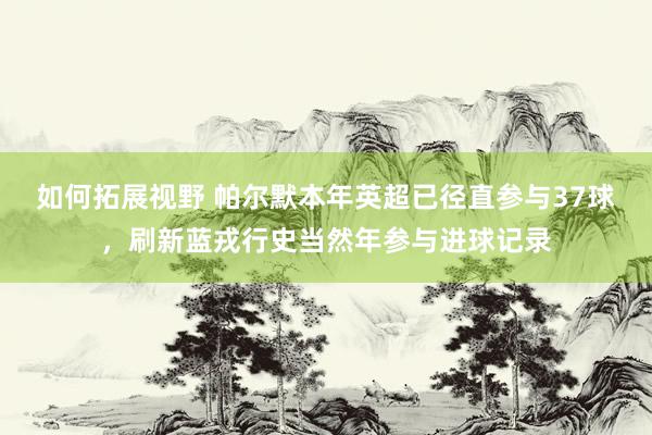 如何拓展视野 帕尔默本年英超已径直参与37球，刷新蓝戎行史当然年参与进球记录